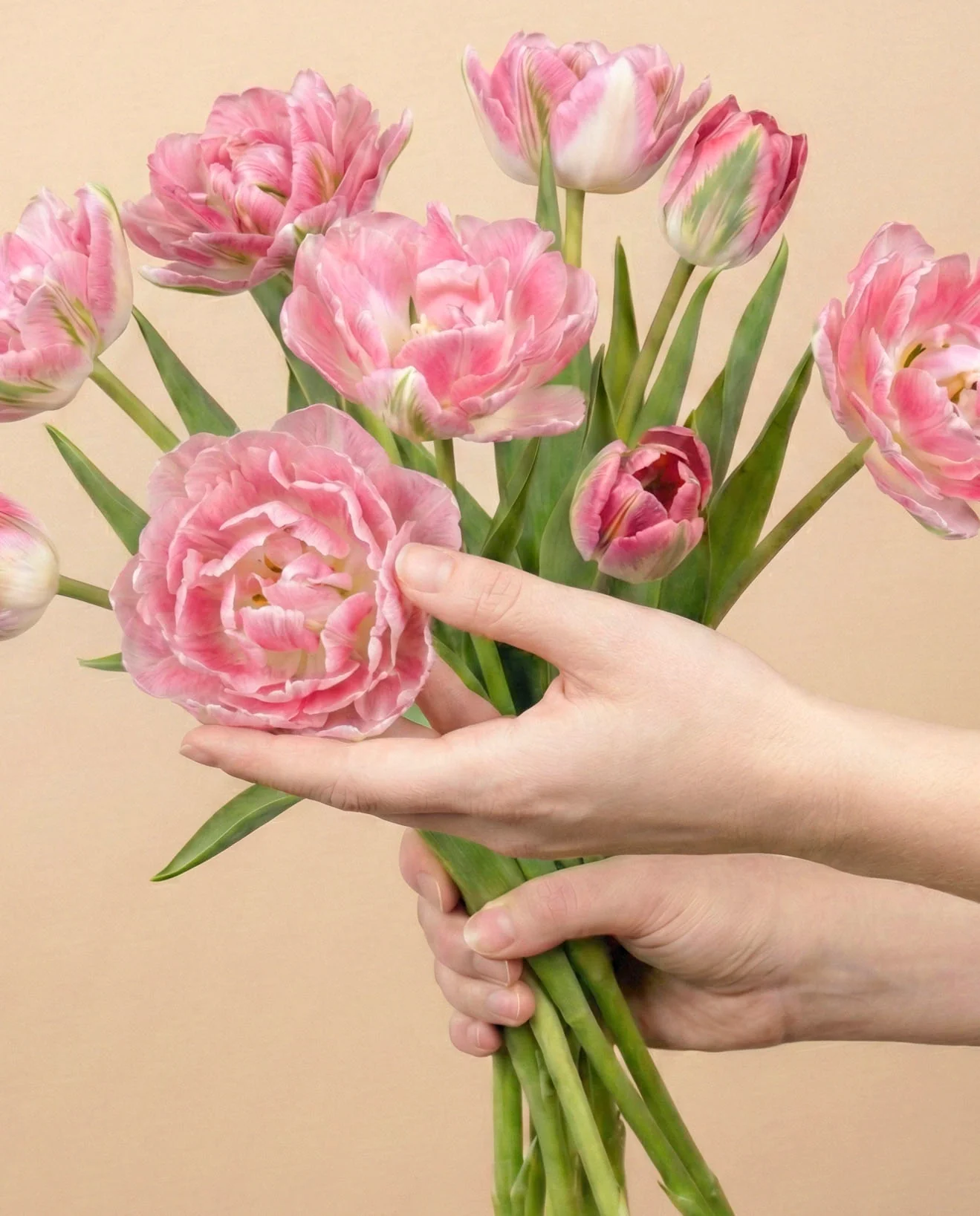 Blumen in sanften Farben