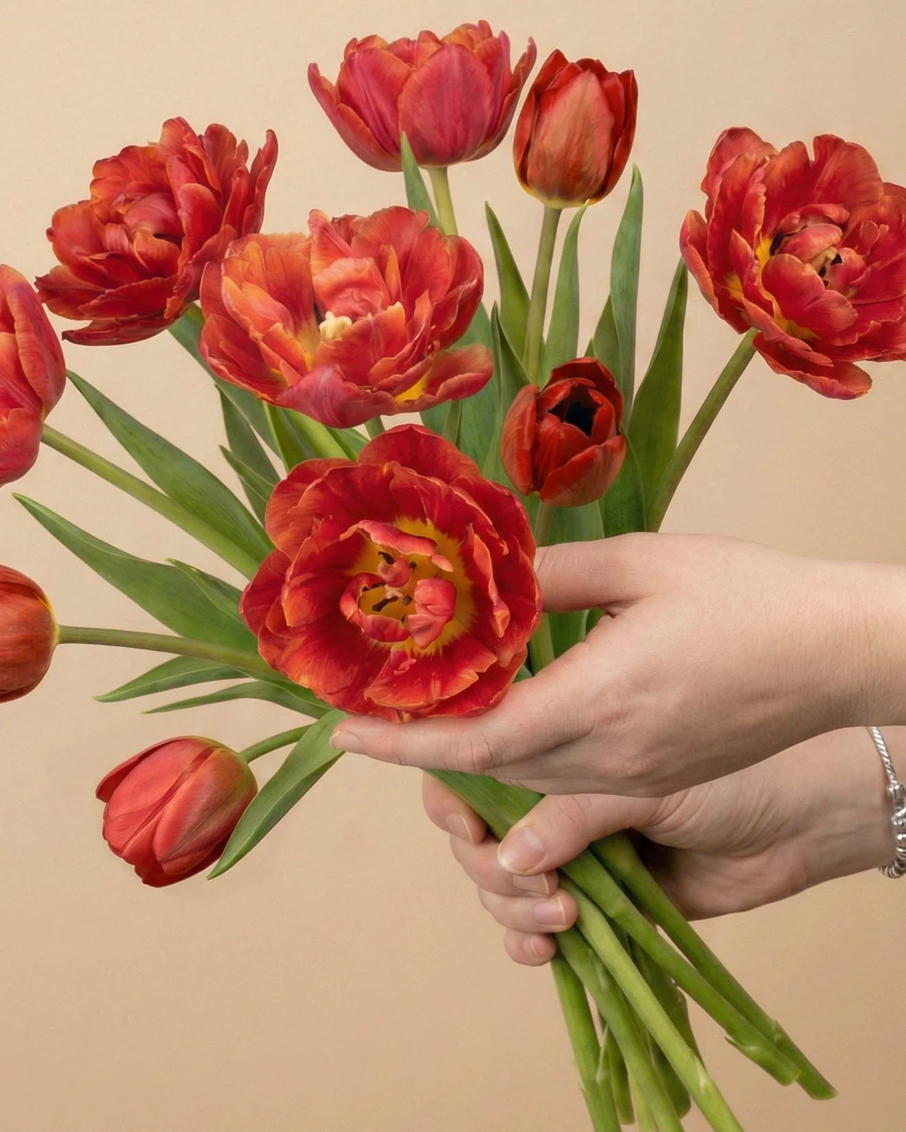 Blumen zum Geburtstag
